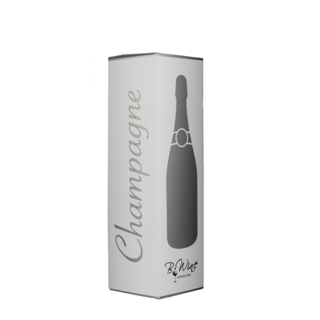 Astuccio Bwine 1 Bottiglia Champagne