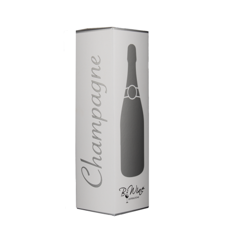 Astuccio Bwine 1 Magnum Champagne
