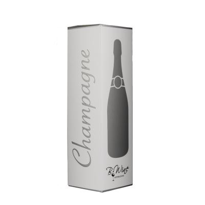 Astuccio Bwine 1 Magnum Champagne