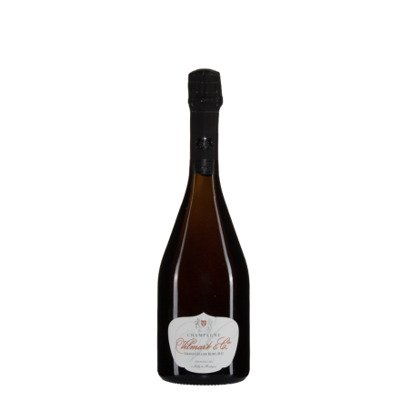 Bottiglia di Vilmart Grand Cellier Rubis 2011
