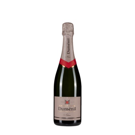 Bottiglia di champagne Dumenil Nature