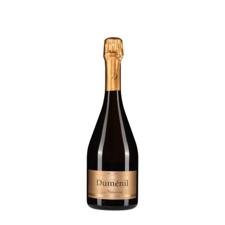 Bottiglia di champagne Dumenil Les Pecherines