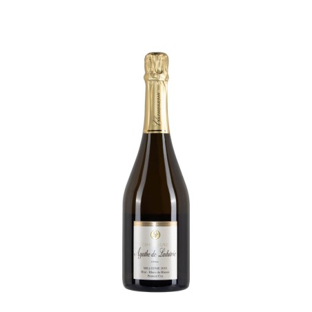 Bottiglia di champagne Agathe De Ladutrie Blanc De Blancs Millesime anno 2010