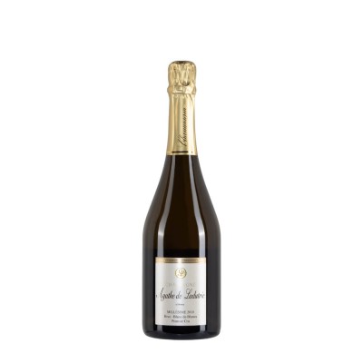 Bottiglia di champagne Agathe De Ladutrie Blanc De Blancs Millesime anno 2010