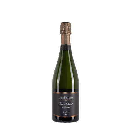 Bottiglia di champagne André Robert Terre du Mesnil anno 2011