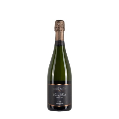 Bottiglia di champagne André Robert Terre du Mesnil anno 2011