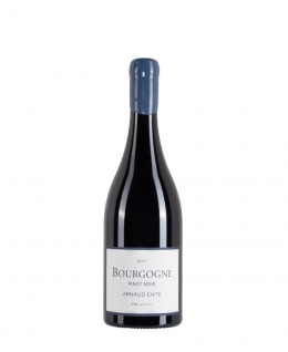 Bottiglia di Borgogna di Bianco Arnaud Ente Bourgogne Pinot Noir anno 2017
