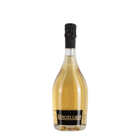 Bottiglia di champagne Assailly Macellum