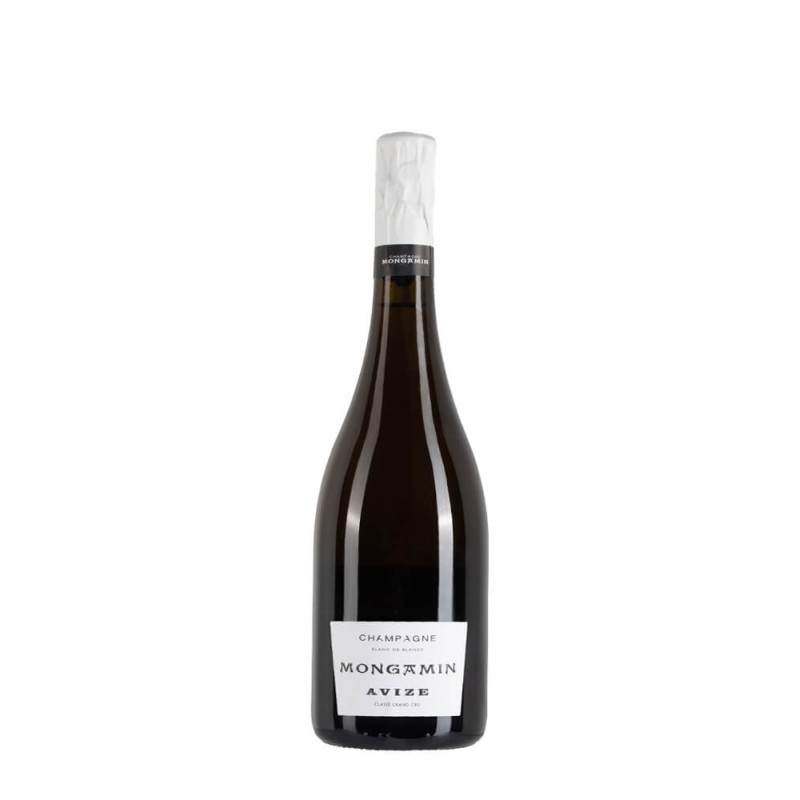 Bottiglia di champagne Assailly Mongamin Avize Blanc de Blanc Bottiglia di champagne Assailly Mongamin Avize Blanc de Blanc