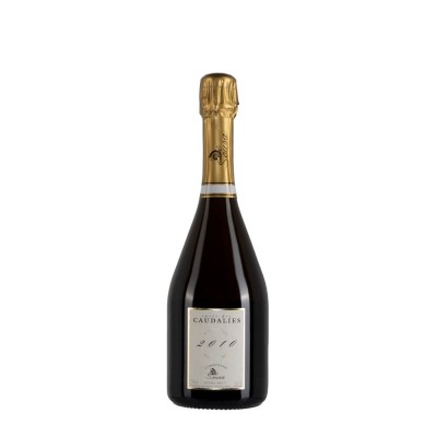 Bottiglia di champagne De Sousa Cuvée des Caudalies Millésime anno 2010 da 0,75l
