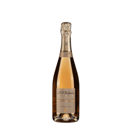 Bottiglia J. L. Vergnon Rosemotion