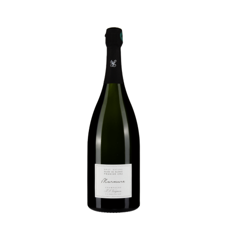 Bottiglia J. L. Vergnon Murmure 1.5L Magnum