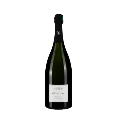 Bottiglia J. L. Vergnon Murmure 1.5L Magnum
