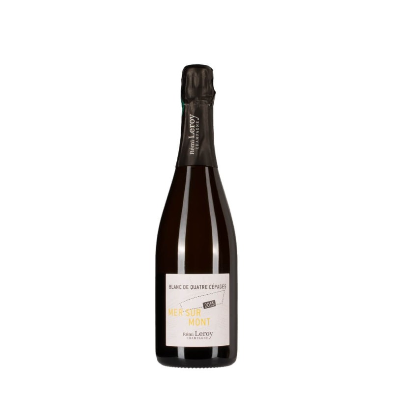 Bottiglia di Rémi Leroy Mer Sur Mont annata 2015 Bottiglia di Rémi Leroy Mer Sur Mont annata 2015