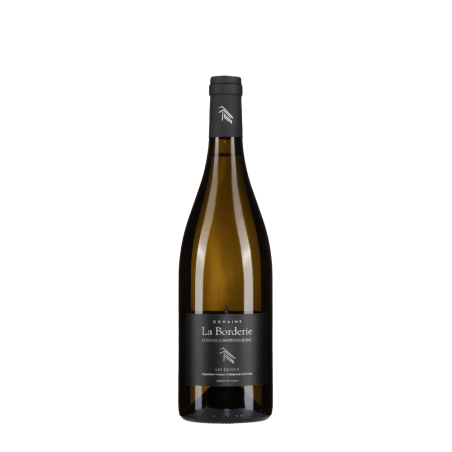 Bottiglia di La Borderie Coteaux Champenois Blanc Les Devoix 2019