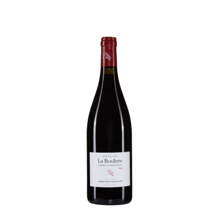 Bottiglia di La Borderie Coteaux Champenois Rouge Les Devoix 2018