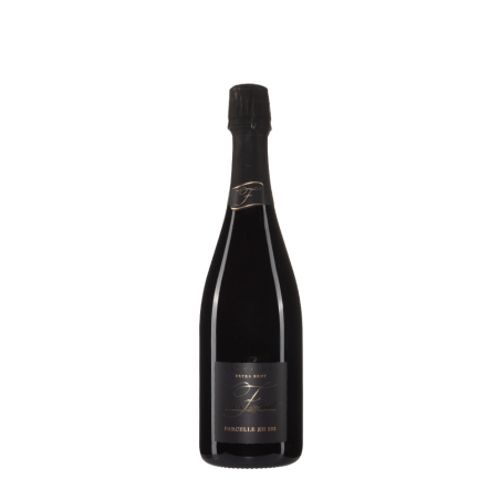 Bottiglia di Nathalie Falmet Brut ZH302