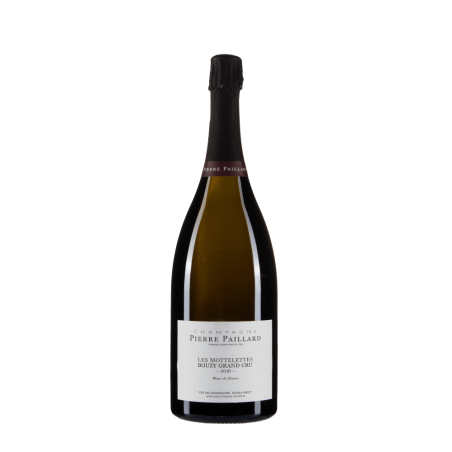 Bottiglia di Pierre Paillard Les Mottelettes 2016 1,5 Magnum