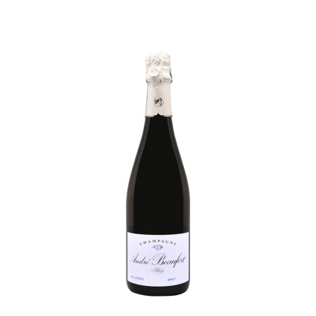 Champagne André Beaufort Polisy Brut Millésime 2015 – Bwineshop