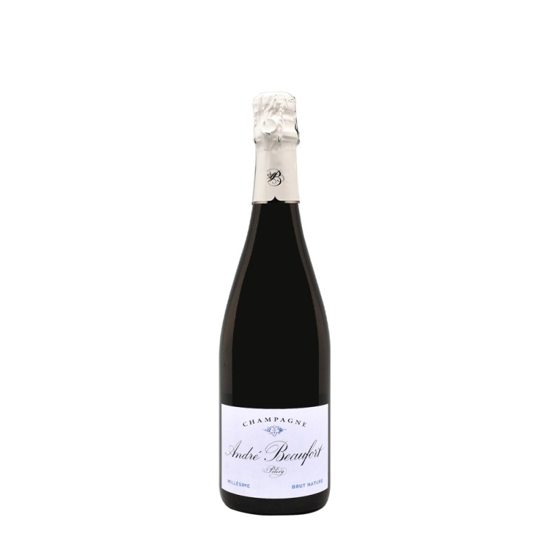 Champagne André Beaufort Polisy Brut Nature 2017 – Bwineshop Champagne André Beaufort Polisy Brut Nature 2017 – Bwineshop