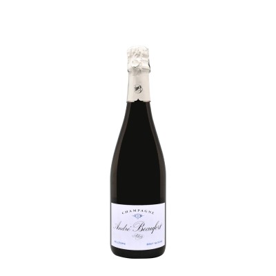 Champagne André Beaufort Polisy Brut Nature 2017 – Bwineshop