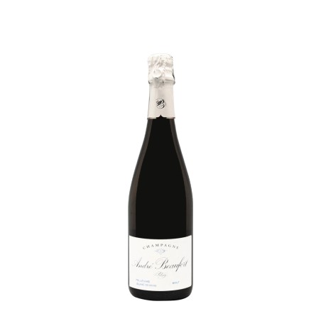 Champagne André Beaufort Polisy Blanc de Noirs 2009 Brut – Bwineshop
