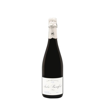 Champagne André Beaufort Polisy Blanc de Noirs 2009 Brut – Bwineshop
