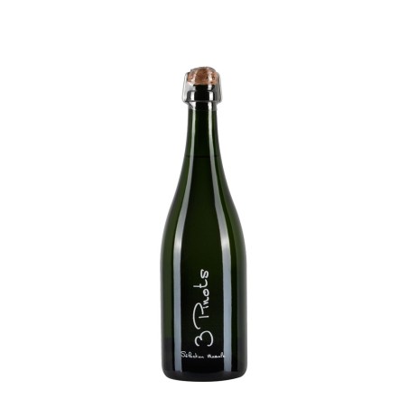 Bottiglia di Francois Diligent 3 Pinots Nature, sboccatura 2023