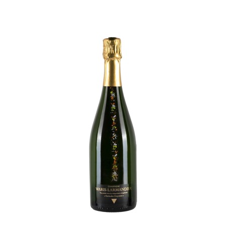 Bottiglia di Waris Larmadier Particules Crayeuses Extra Brut