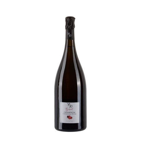 Magnum di Champagne Stéphane Fèvre Bicheret, 100% Pinot Noir Biologico, Non filtrato.