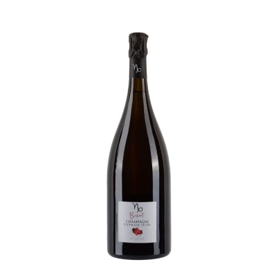 Magnum di Champagne Stéphane Fèvre Bicheret, 100% Pinot Noir Biologico, Non filtrato.