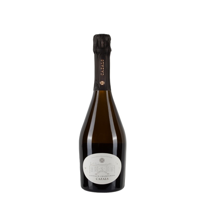 Bottiglia di Coteaux Champenois Claude Cazals 2019 blanc da 0.75l Bottiglia di Coteaux Champenois Claude Cazals 2019 blanc da 0.75l