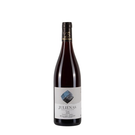 Bottiglia di vino rosso Benjamin Passot Julienas Vaux 2021 da 0.75l
