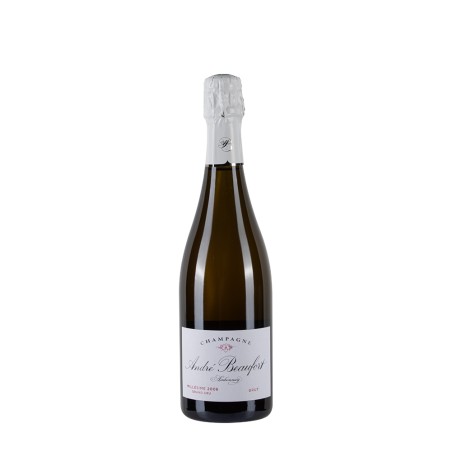 Bottiglia di champagne André Beaufort Ambonnay 2006 Sbocc '24 da 0.75l