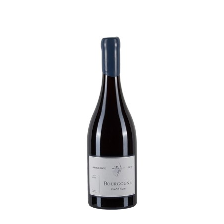 Bottiglia di borgogna rosso Arnaud Ente Bourgogne Pinot Noir 2016 da 0.75l
