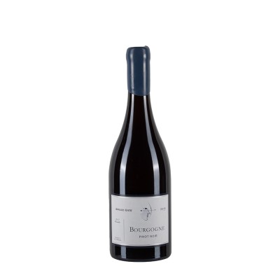Bottiglia di borgogna rosso Arnaud Ente Bourgogne Pinot Noir 2016 da 0.75l