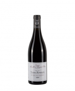 Bottiglia di vino rosso Domaine Armelle et Bernard Rion Nuits-Saint-Georges 2020 Les Damodes da 0.75l