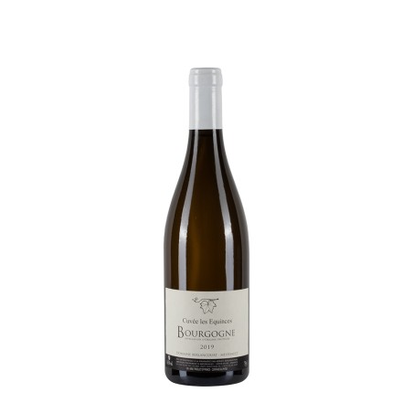 Bottiglia di borgogna bianco Domaine Berlancourt Bourgogne Blanc 2019 Cuvée les Equinces da 0.75l