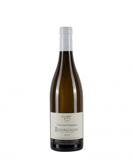 Bottiglia di borgogna bianco Domaine Berlancourt Bourgogne Blanc 2019 Cuvée les champans da 0.75l