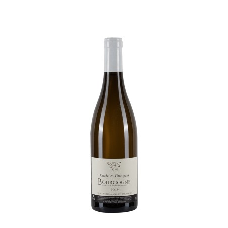Bottiglia di borgogna bianco Domaine Berlancourt Bourgogne Blanc 2019 Cuvée les champans da 0.75l