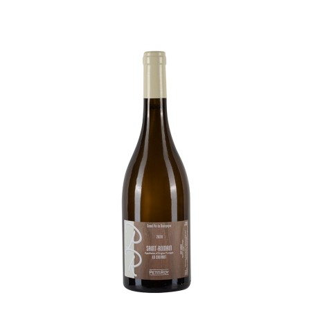 Bottiglia di borgogna bianco Petit Roy Saint-Roman En Chevrot 2020 da 0.75l