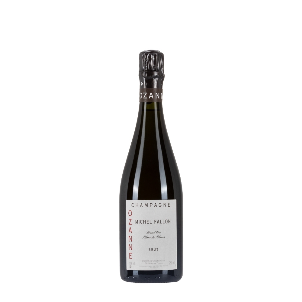 Bottiglia di Champagne Michel Fallon Ozanne da 0.75l