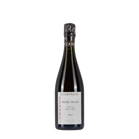 Bottiglia di Champagne Michel Fallon Ozanne da 0.75l