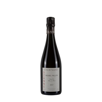 Bottiglia di Champagne Michel Fallon Ozanne da 0.75l