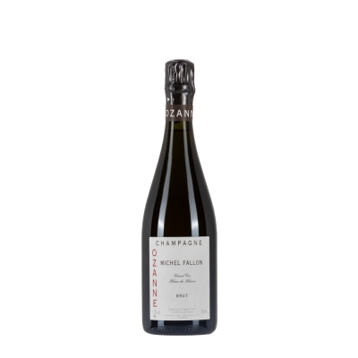 Bottiglia di Champagne Michel Fallon Ozanne da 0.75l