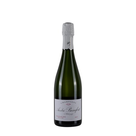 Bottiglia di champagne André Beaufort Ambonnay 2019 da 0.75l