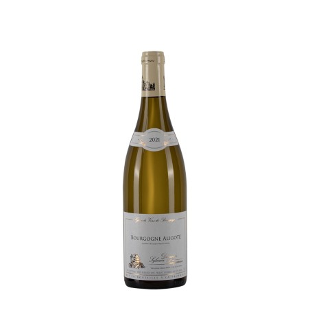 Bottiglia Domaine Sylvain Langoureau Aligote anno 2021 da 0.75l