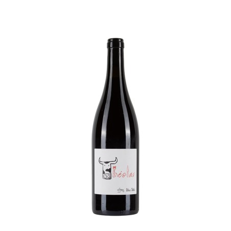 Bottiglia di vino  Rosso languedoc Mas Théo Theolas 2021 da 0.75l