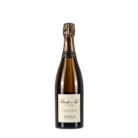 Bérêche & Fils Aÿ Grand Cru 2016 bottiglia 75cl - Bwineshop
