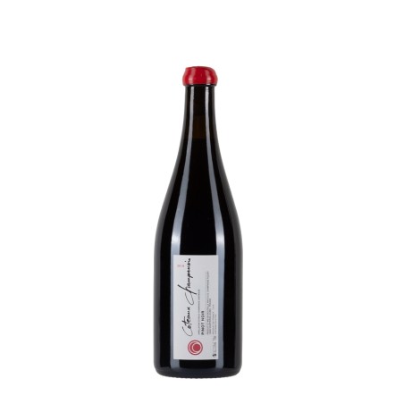 Bottiglia di Vino rosso Fleury Coteaux Champenois Rouge 2019 da 0.75l